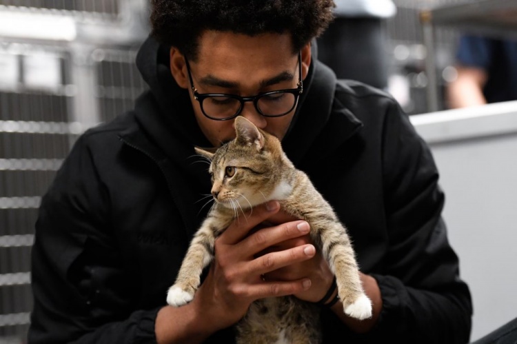 普尔：NBA里养猫的人很多 我们有一个秘密的圈子常私下交流